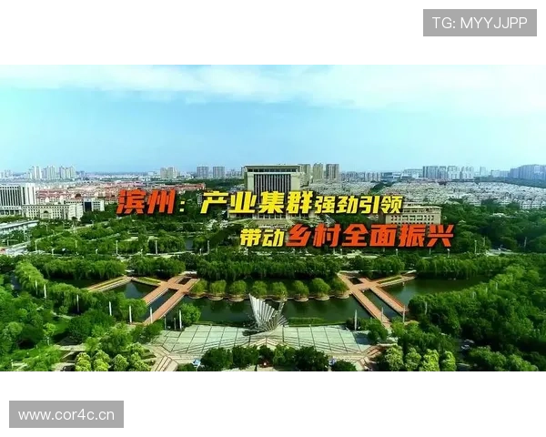 农村企业家引领乡村振兴发展探索致富新路径与创新模式